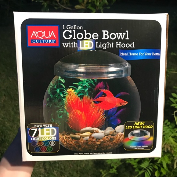 LED Fish Globe! - Picture 9 of 9